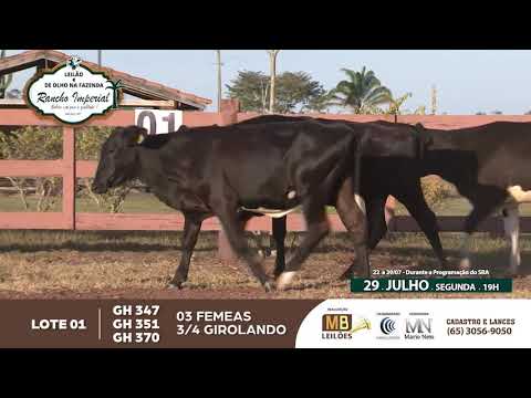 LEILO FAZENDA RANCHO IMPERIAL