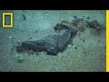 National Geographic Live! - Titanic's Graveyard