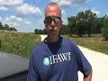 Iowa Flooding Pig Rescue Iowa Flooding Pig Rescue