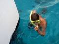 videos de Monk Seal 3
