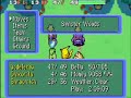 Pokémon Mystery Dungeon - Battle With Team Meanies