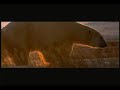 WWF & The Golden Compass - Make a difference WWF & The Golden Compass - Make a difference