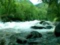 videos de Nature