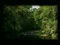 El Quetzal