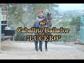 caballito bailador 2