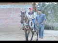 caballito bailador 2