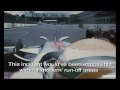 Lewis Hamilton F1 Overtakes part 1