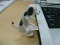 usb dog