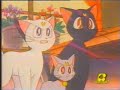 Le amiche sailor sono nei guai:ep. 170-1� parte(Sailor Moon)