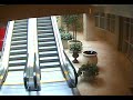 Old Man Falls on Escalator Original