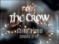 The Crow (Backplate for series starring Mark Dacascos)