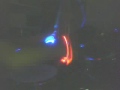 light up sticks in the dark 2!