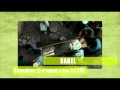 Ver Video