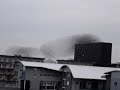 vague doiseaux