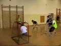 Gymberoun - Sportovn� den