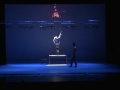 Firebird (Infernal subjects) Walsh.mp4