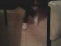 videos de RETROO BAILA ELECTROO