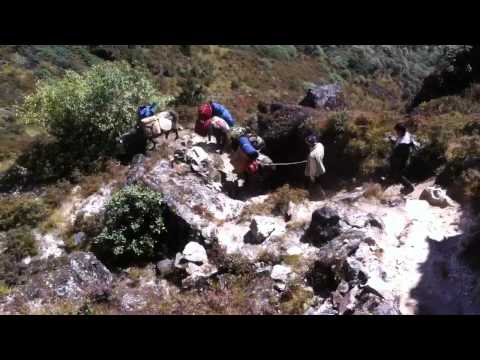 horses grand national horses grand national