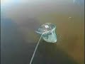 Skimmers part 1 Skimmers part 1