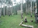 Mountains