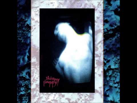 Skinny Puppy - God's Gift (Maggot) lyrics