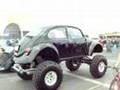 BIG BUG with 38s AT  FAIR PLEX SO CAL