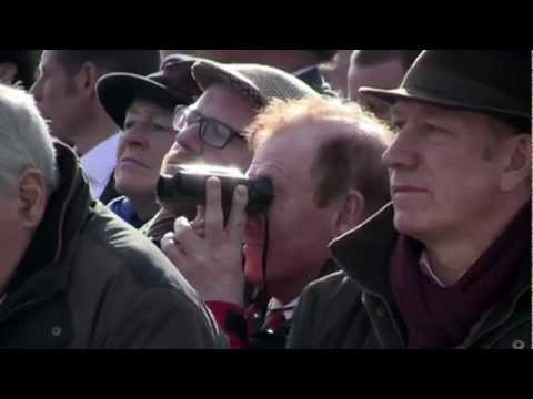 cheltenham today cheltenham today