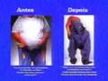 Sleep Fitness - emagre�a dormindo!!