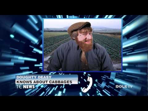 Network Awesome - Sun, Mar 16 Dublin's own Rabble Magazine presents an "Alternative St. Patricks Day"