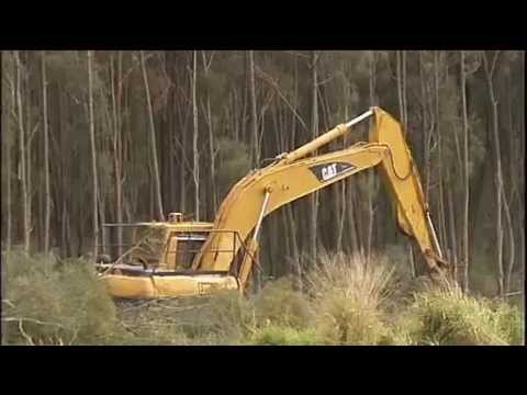 Federal Government - Federal Environment Minister Tony Burke is threatening to block a plan to allow drought-stricken Queensland graziers into certain national parks but the State Government is not backing down.