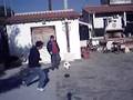 Funny fat kid playing football