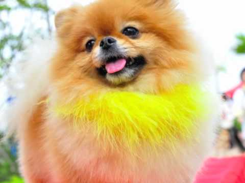 See video