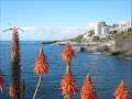 Funchal lido path.wmv