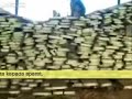 KAYU HASIL OPERASI TEAM MABES POLRI DI KETAPANG KAYU HASIL OPERASI TEAM MABES POLRI DI KETAPANG
