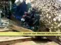 KAYU HASIL OPERASI TEAM MABES POLRI DI KETAPANG