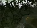 Armed Assault gameplay Armed Assault gameplay
