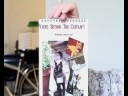 Beyond the Cat Flap - the Cat Cam in London