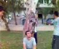 Yurtseven Karde?ler Tarlaba??