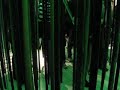 terciopelo verde