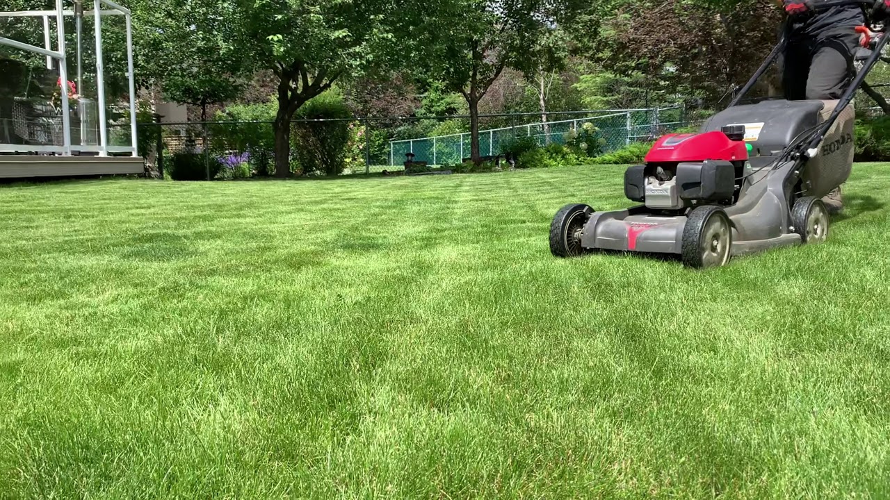 Scenic Acres Lawn Mowing Service by Legendary Lawns Calgary