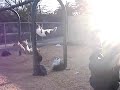 Swing Flips Mini 2 Swing Flips Mini 2
