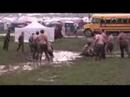 Beating the heat at Pennsic XXXVI