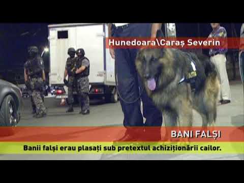 Bancnote de euro false, puse în circulație în Caraș Severin