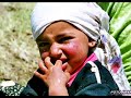 Pertek Belediyesi �al??malar?