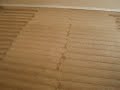 Panhandle Floor Care (Rental House Rotovac)