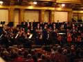 Denis Goldfeld plays Ysaye Sarabande / Musikverein Vienna