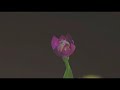 3D Design and Animation for Devon Jewelry Switzerland