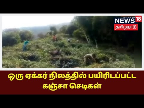 Download Ganja Mp4 3gp Fzmovies download ganja mp4 3gp fzmovies