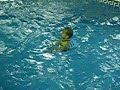 swimming time- carlo & jai