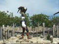 Puy du fou oiseaux Puy du fou oiseaux